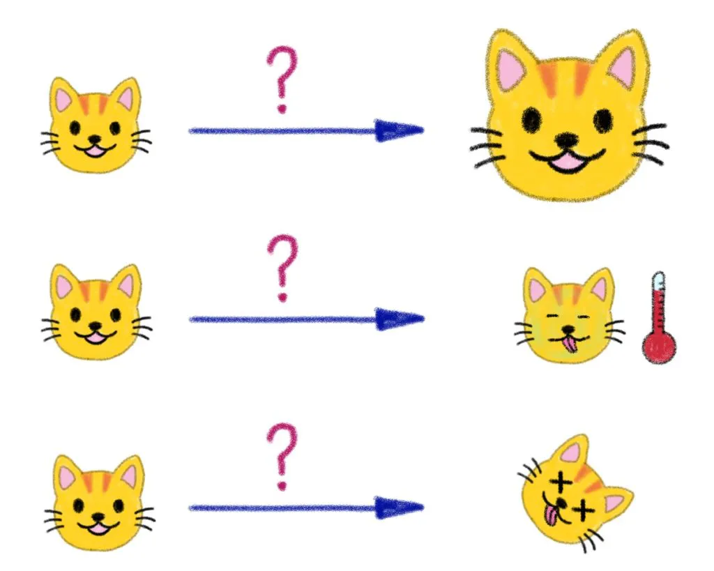 Three questions for a pet based infra