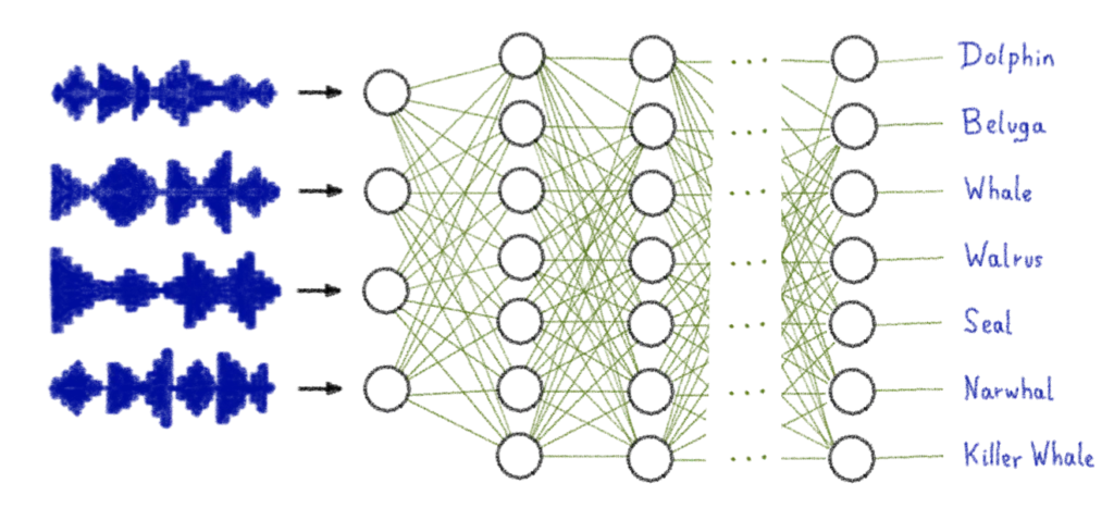 AI Notebooks: analyze and classify sounds with AI