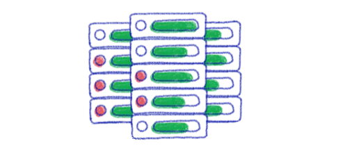 Dedicated servers