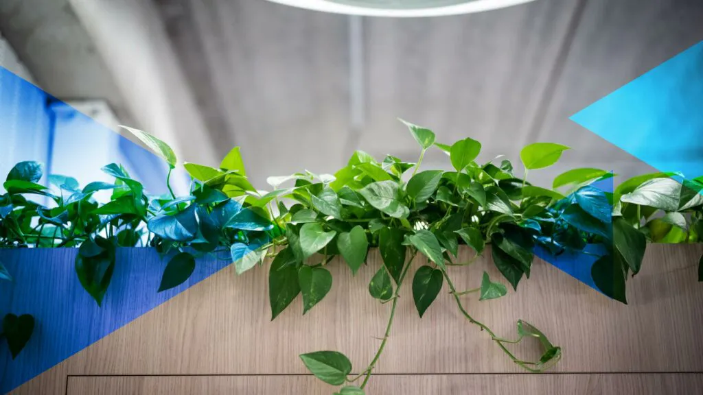 Why 'radical transparency' should be your gold standard sustainability strategy for datacentres