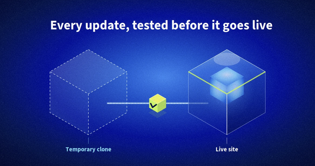Managed Hosting for WordPress: why hosting a site is no longer about disk space or compute