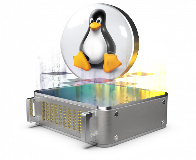 Servers: Revision of Linux Distribution Reinstallation