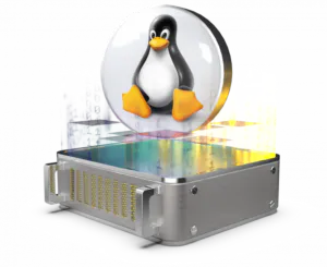 Serveurs : révision de la réinstallation de distribution Linux
