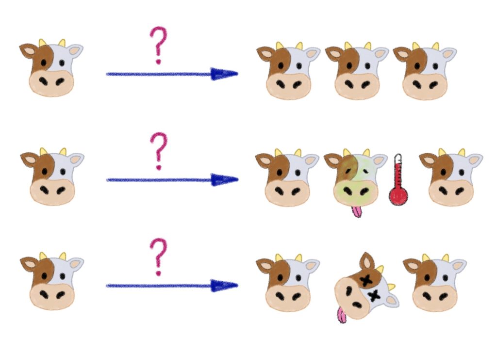 Three questions for a cattle based infra