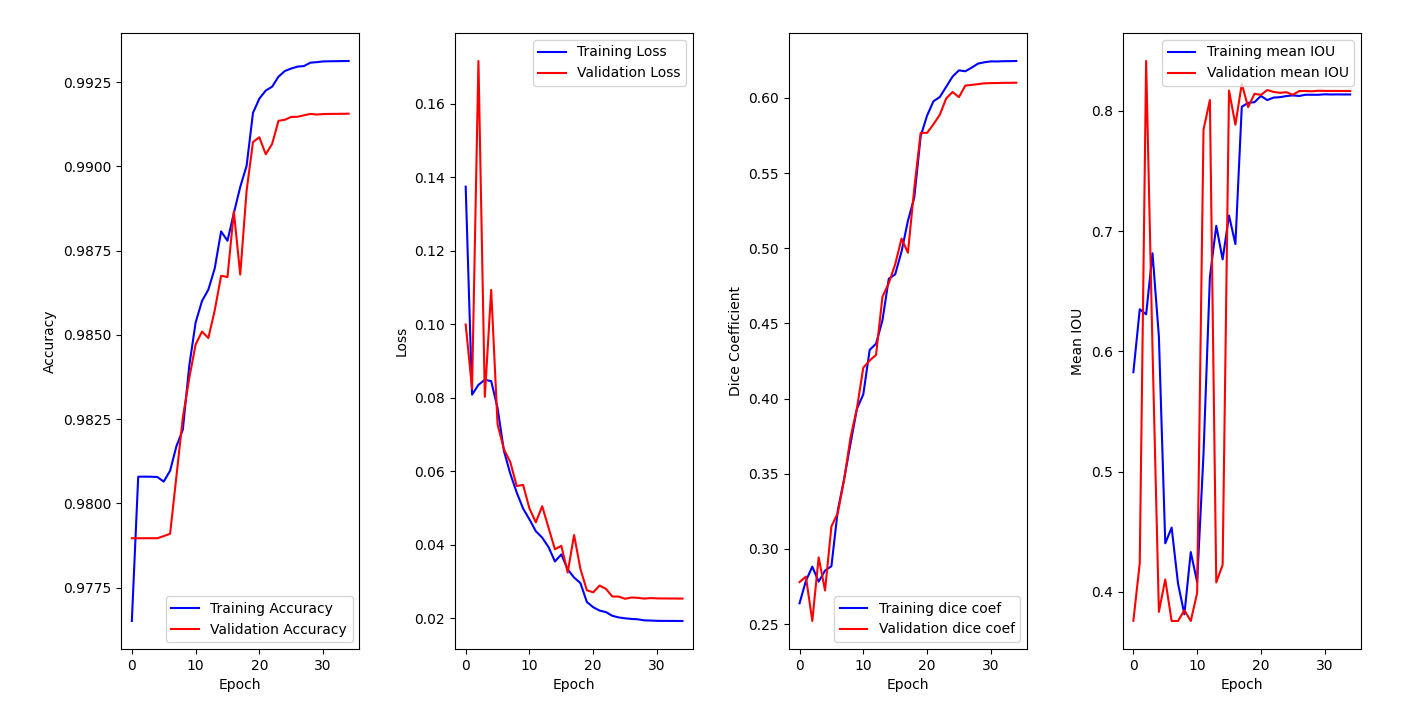 Training metrics of a segmentation model for the BraTS2020 dataset